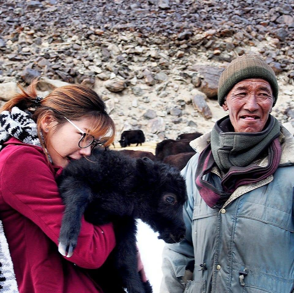 ลูกยักษ์ (Yak)