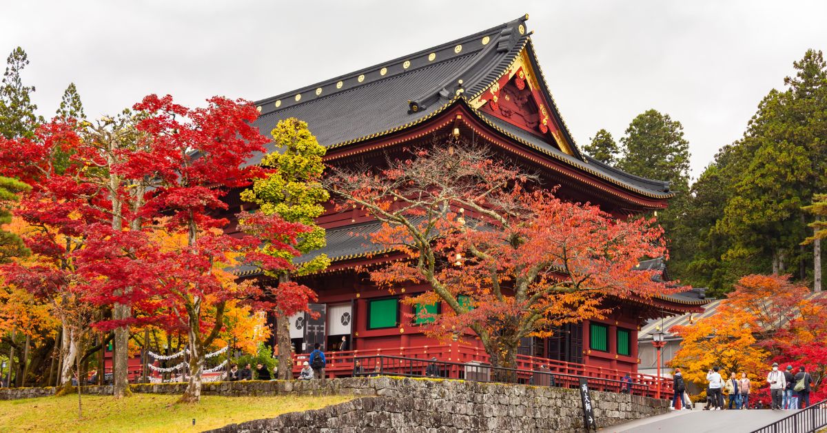 เที่ยว nikko วัดรินโนจิ