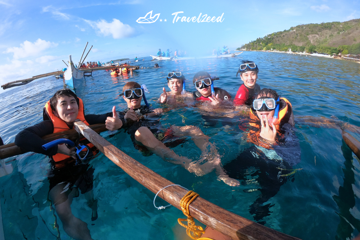 Oslob Whale Shark In Cebu