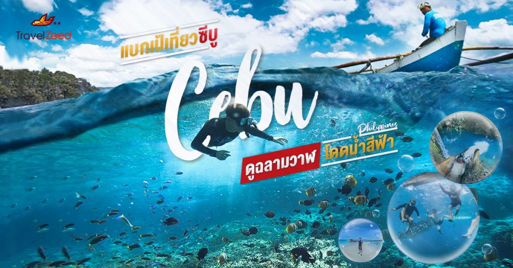 Cebu! แบกเป้เที่ยว ดูฉลามวาฬ และทะเลสีฟ้าคราม In Philippines