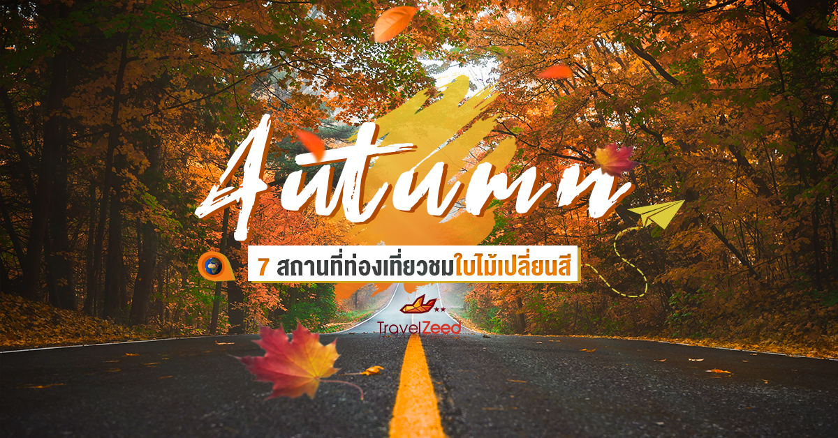 7 สถานที่ท่องเที่ยวชมใบไม้เปลี่ยนสี AUTUMN