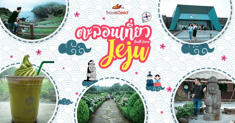 ตะลอนเที่ยวเชจู  JEJU, SOUTH KOREA