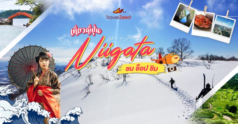 ทัวร์ญี่ปุ่น ทัวร์นีงาตะ สกีรีสอร์ท