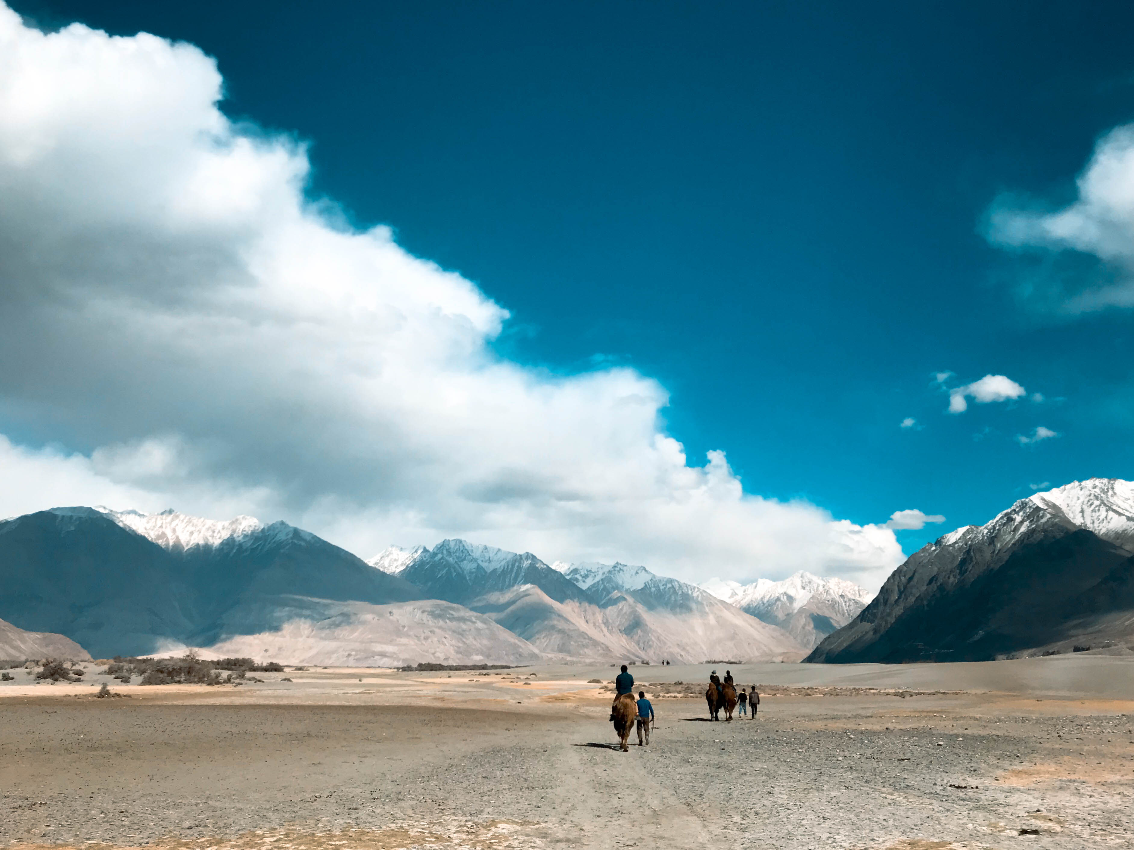 นูบร้าวัลเลย ทัวร์เลห์ ลาดักห์ เที่ยวเลห์ ลาดักห์ Leh Ladakh Tour leh ladakh
