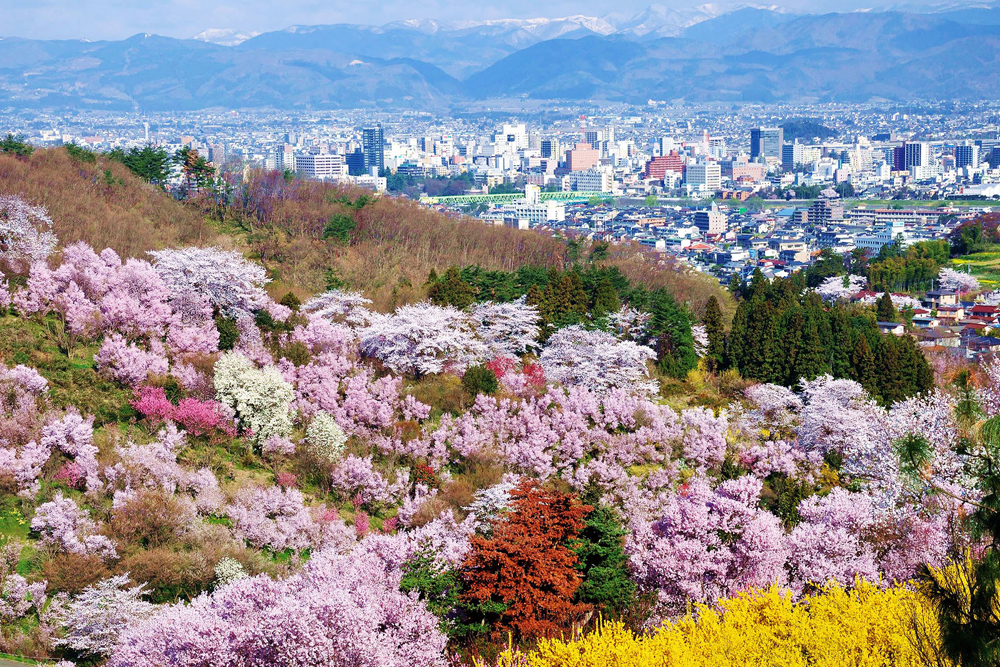 ฟุกุชิมะ fukushima ทัวร์ญี่ปุ่น