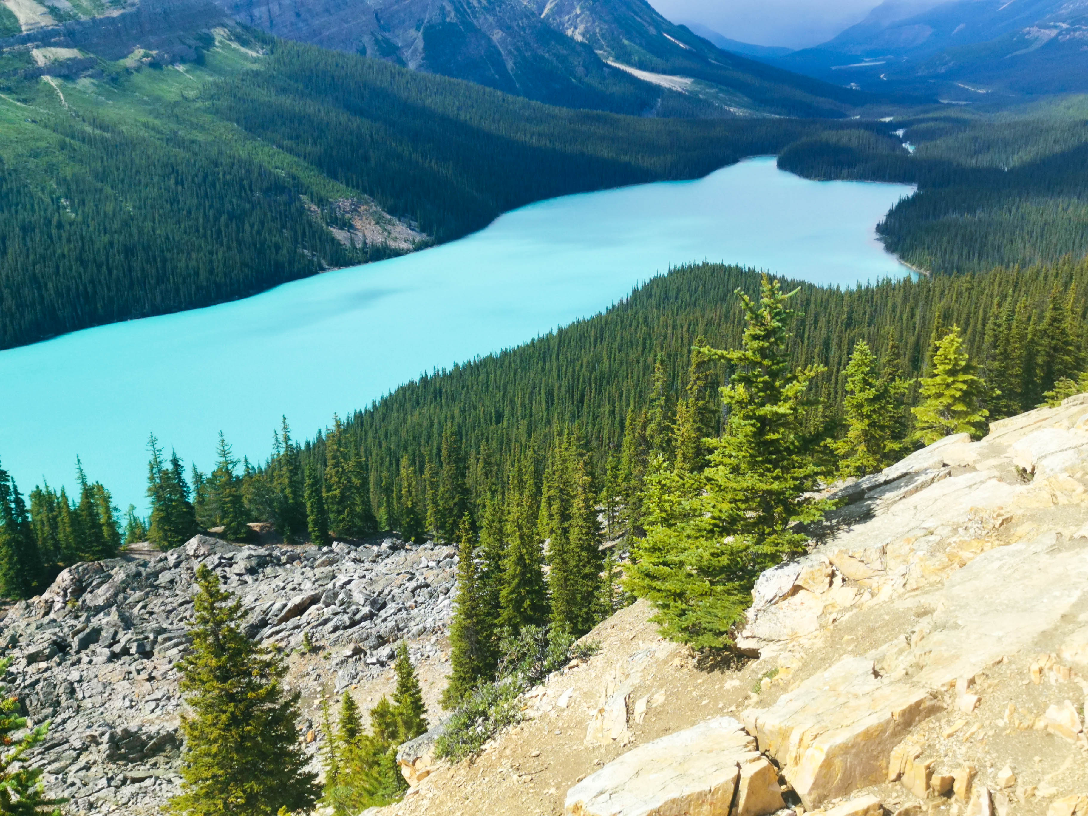 Peyto Lake เที่ยวแคนาดา ทัวร์แคนาดา