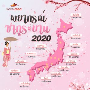 ซากุระ ญี่ปุ่น