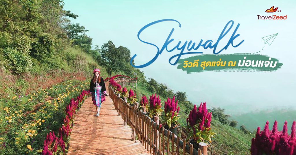 Skywalk วิวดี สุดแจ่ม ณ ม่อนแจ่ม เดินเล่นท่ามกลางทุ่งคอสมอส ชมวิวธรรมชาติแบบพาโนรามา