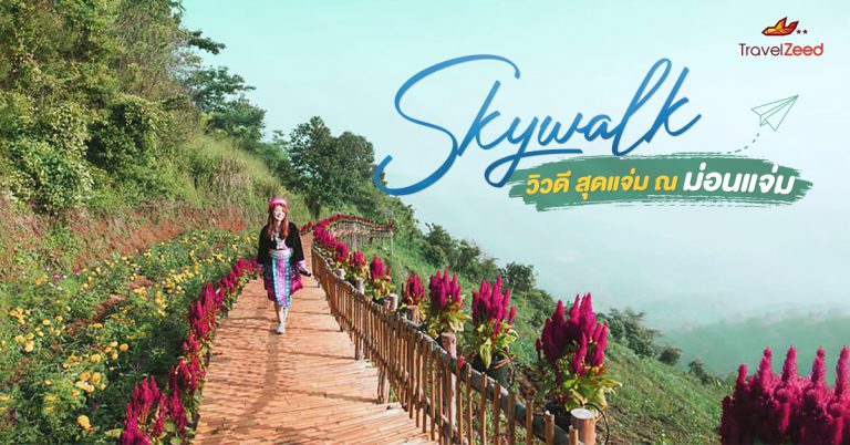 Skywalk วิวดี สุดแจ่ม ณ ม่อนแจ่ม เดินเล่นท่ามกลางทุ่งคอสมอส ชมวิวธรรมชาติแบบพาโนรามา