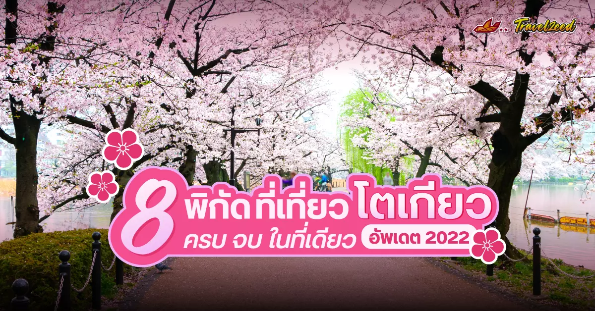 8 พิกัด ที่เที่ยวเมือง โตเกียว ครบ จบ ในที่เดียว (อัปเดต 2023)