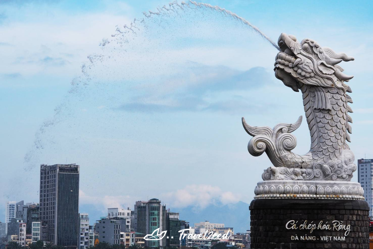 คาร์ฟดาร์ก้อน (ca chep hoa rong)