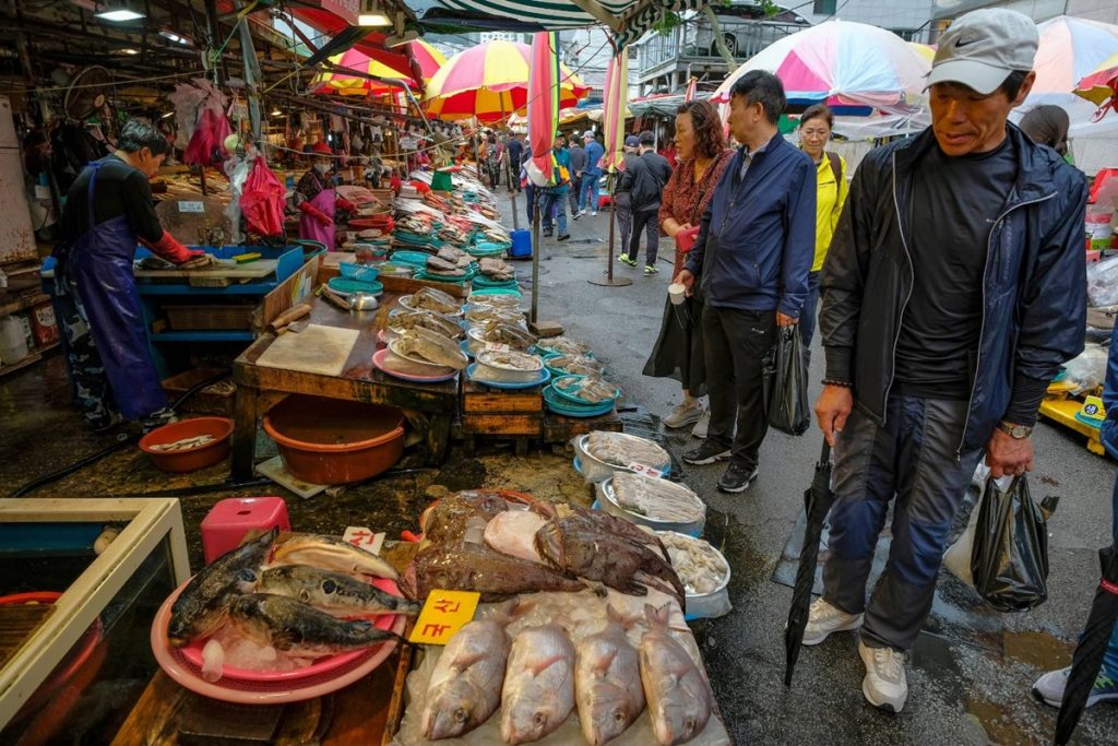 ปูซาน เกาหลี ตลาดปลาจากัลชี