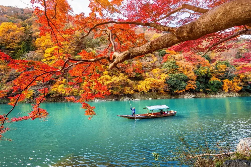 ใบไม้เปลี่ยนสี ญี่ปุ่น