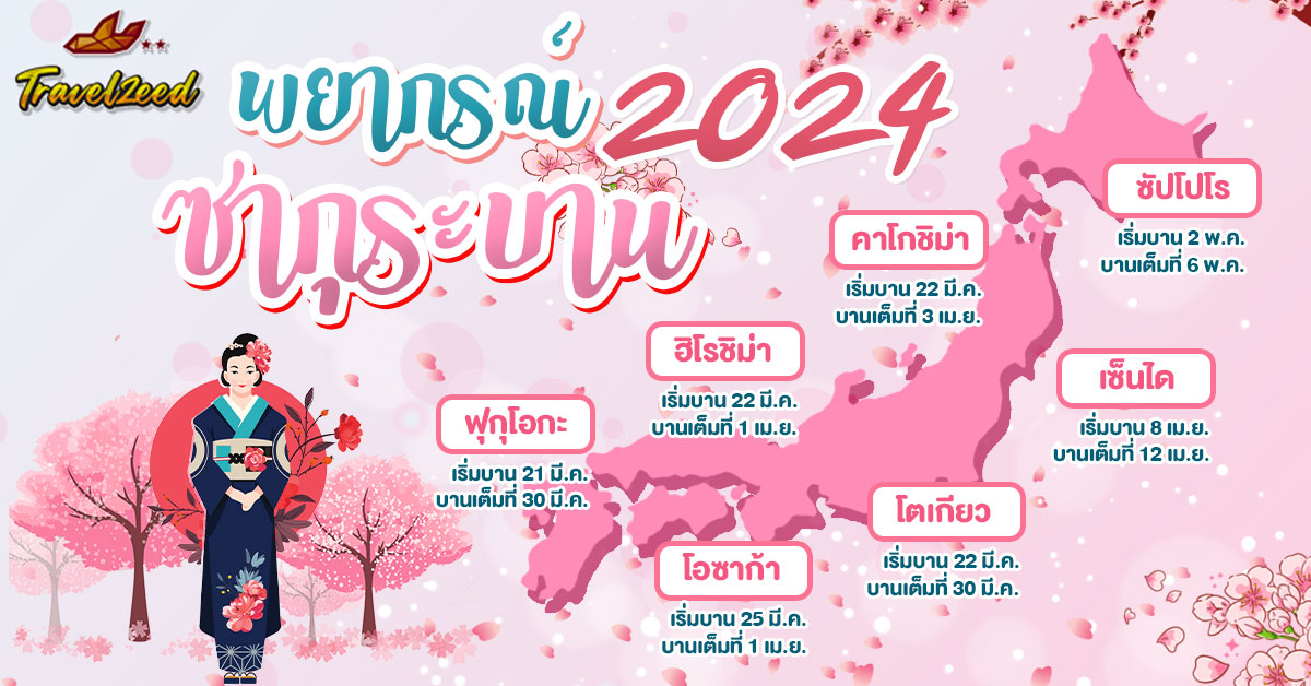 sakura forecast 2024 พยากรณ์ซากุระ 2024