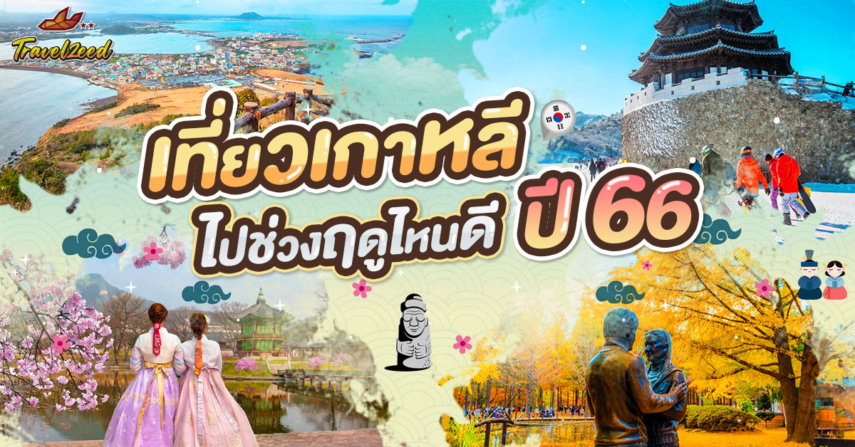 เที่ยวเกาหลี ช่วงไหนดี ปี 66 เที่ยวเกาหลี ช่วงไหนดี ปี 66