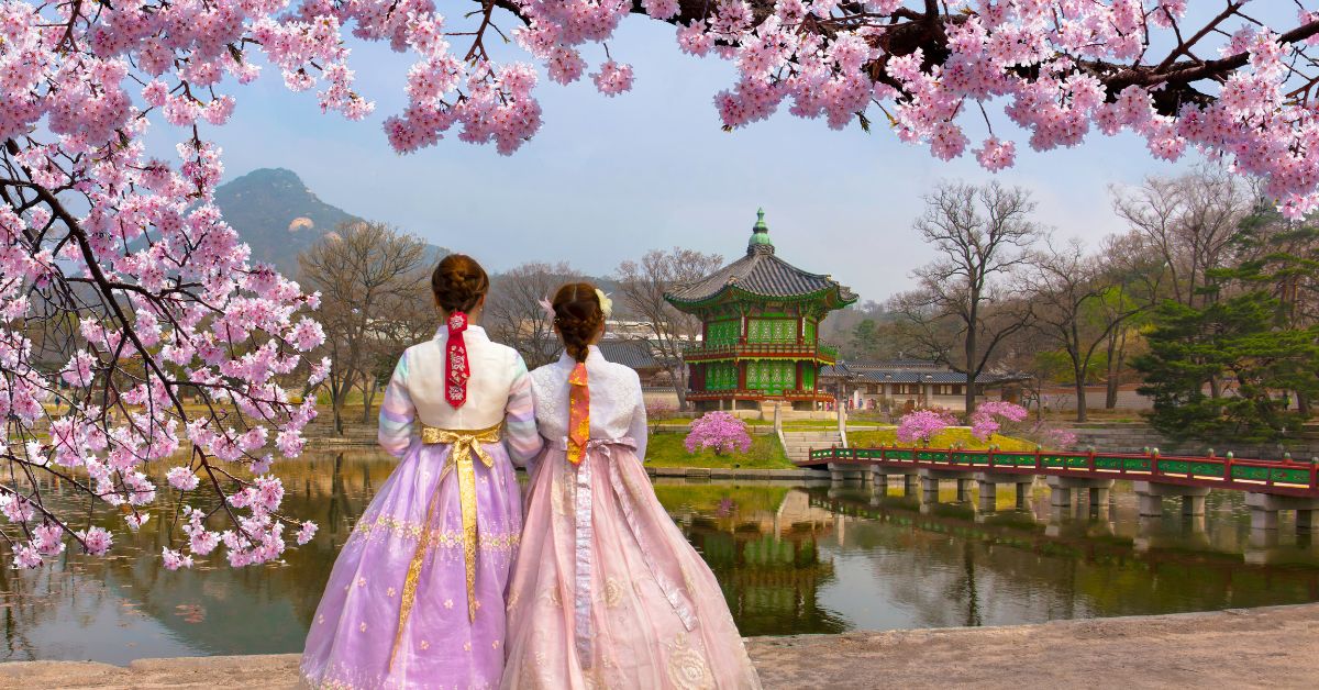 เที่ยวเกาหลี ช่วงไหนดี ช่วงใบไม้ผลิ