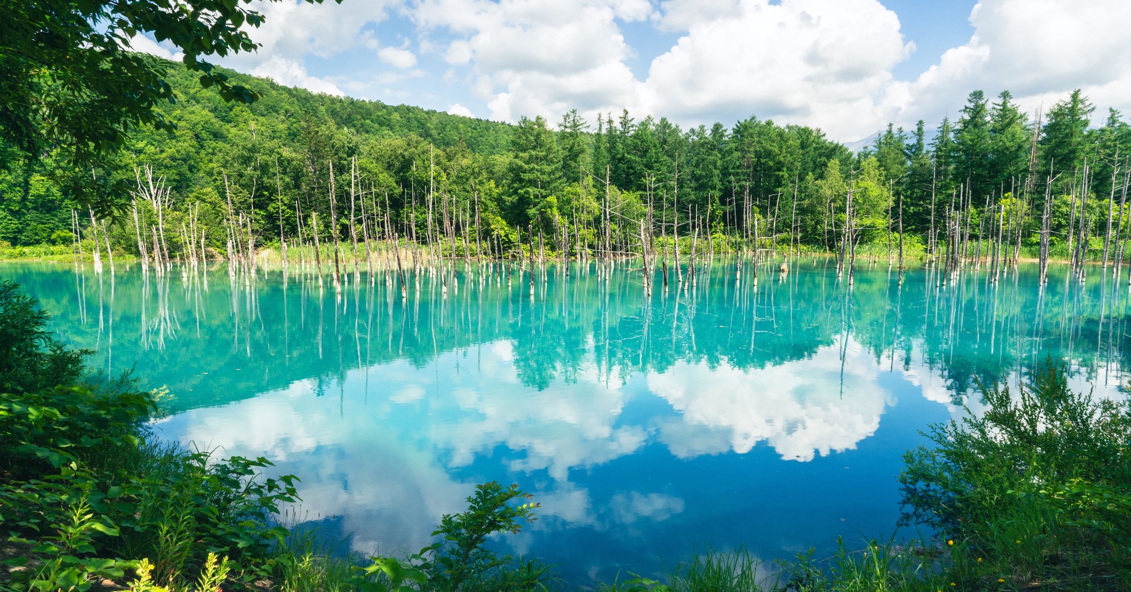 บ่อน้ำสีฟ้า ที่เที่ยวฮอกไกโด