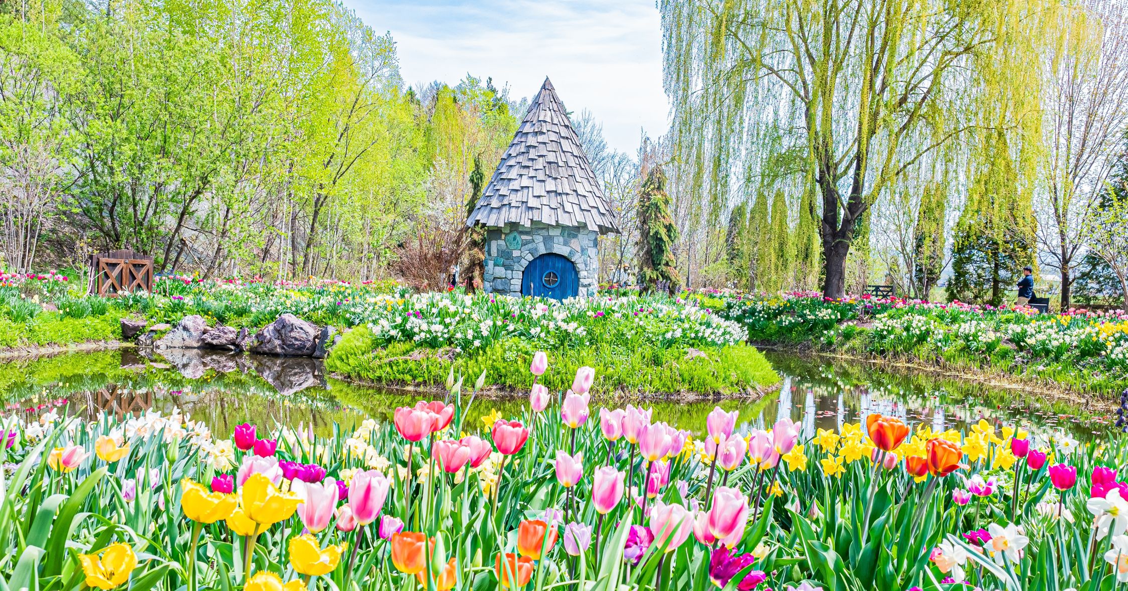 ฟาร์มอุเอโนะ สวนสไตล์อังกฤษในฮอกไกโด ที่เที่ยวฮอกไกโด