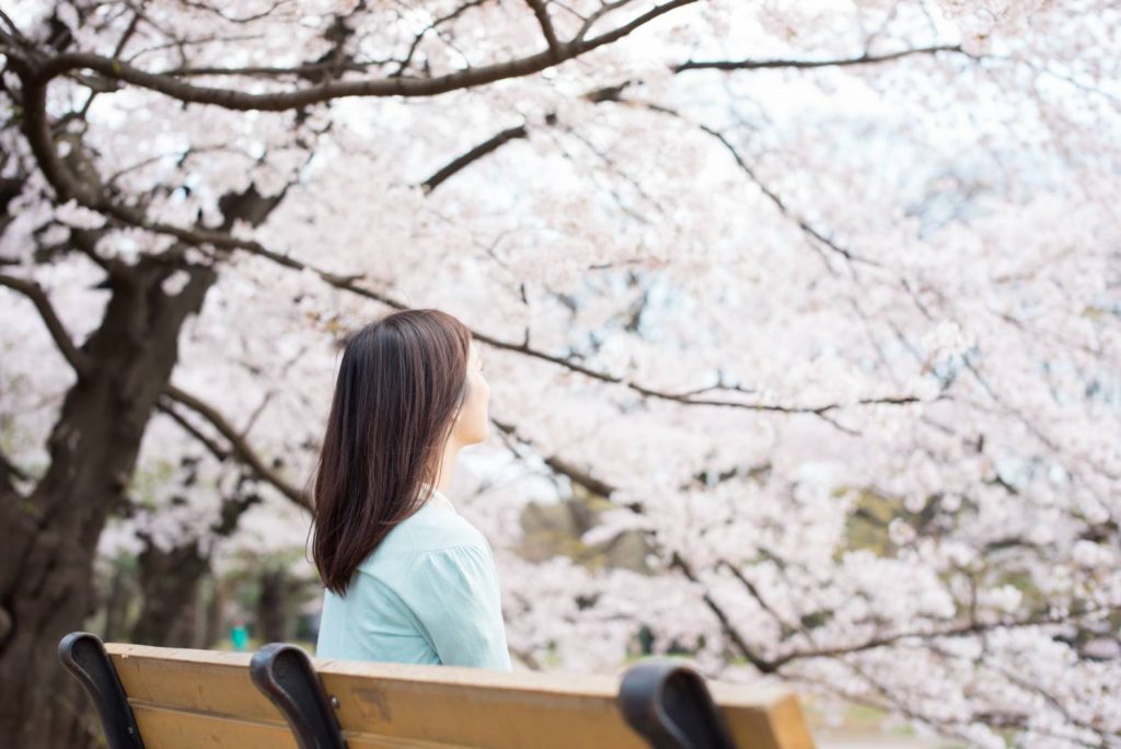 woman sit on the bench with cherry blossom tree