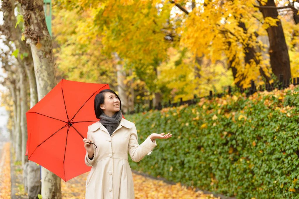 pose reccomended when it's cheery blossom season and snowing 