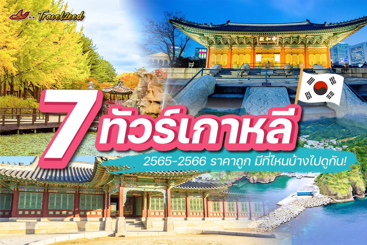ทัวร์เกาหลี 2565 ราคาถูก