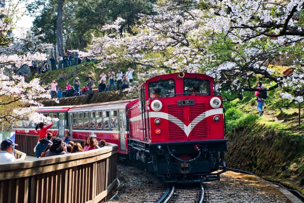 รถไฟอาลีซาน ซากุระ ไต้หวัน