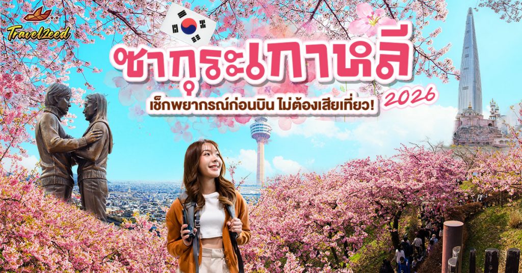 ซากุระเกาหลี บานช่วงไหน เช็กพยากรณ์ก่อนใครที่ Travelzeed