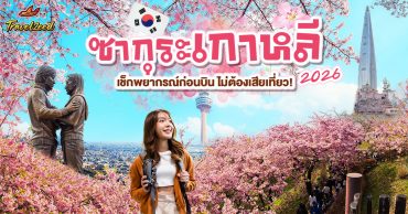 ซากุระเกาหลี บานช่วงไหน 2026 เช็กพยากรณ์ก่อนบิน ไม่ต้องเสียเที่ยว