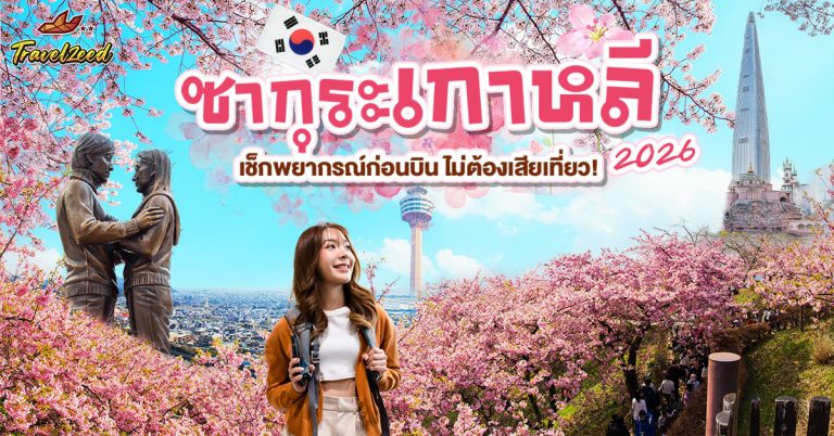 ซากุระเกาหลี บานช่วงไหน เช็กพยากรณ์ก่อนใครที่ Travelzeed