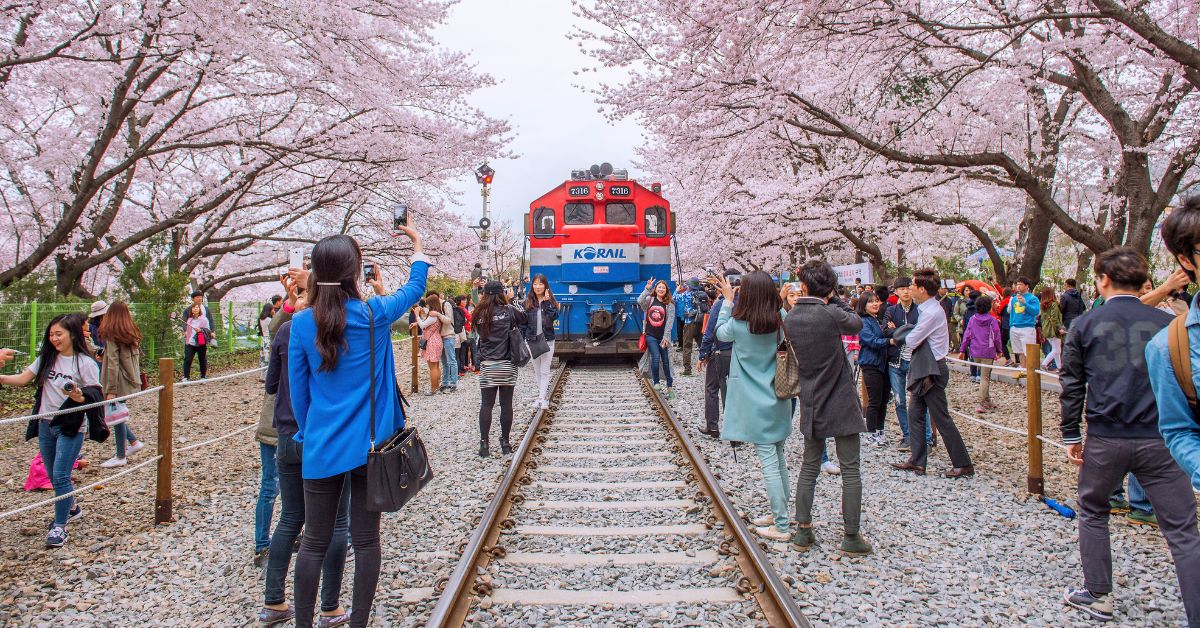 เทศกาลจินแฮกุนฮังเจ