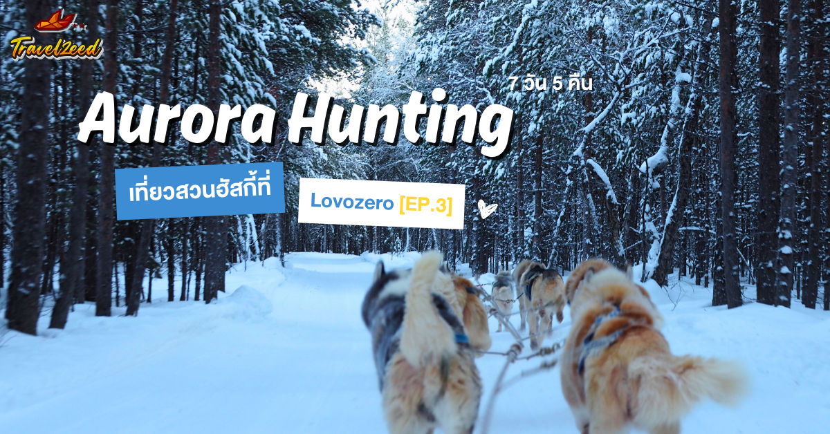 Aurora Hunting 7 วัน 5 คืน: เที่ยวสวนฮัสกี้ที่ Lovozero [EP.3]