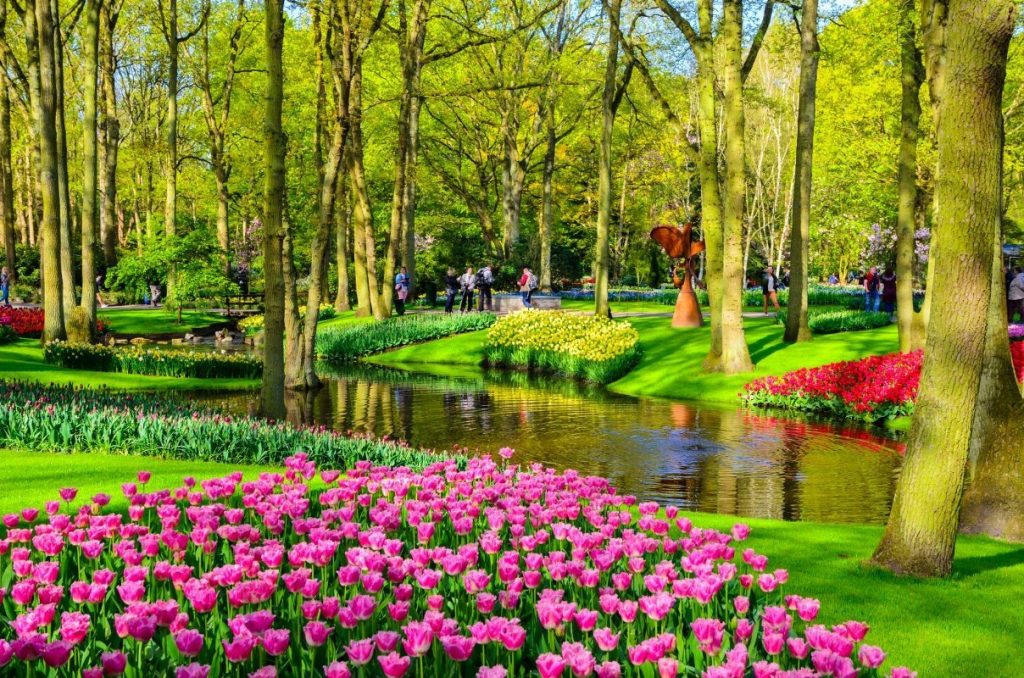 เทศกาลดอกไม้ Keukenhof เนเธอน์แลนด์