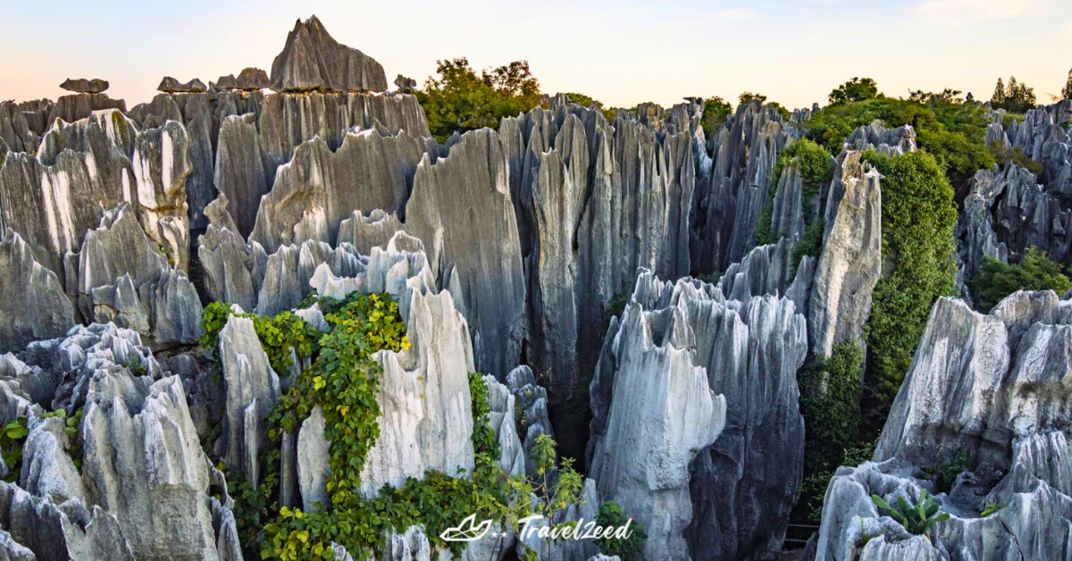 อุทยานป่าหิน Shilin Stone Forest