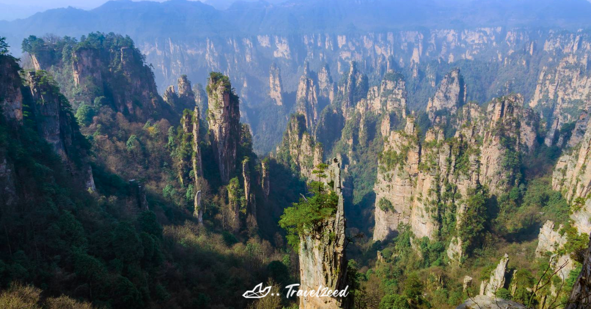 เขาเทียนจื่อซาน Tianzi Shan