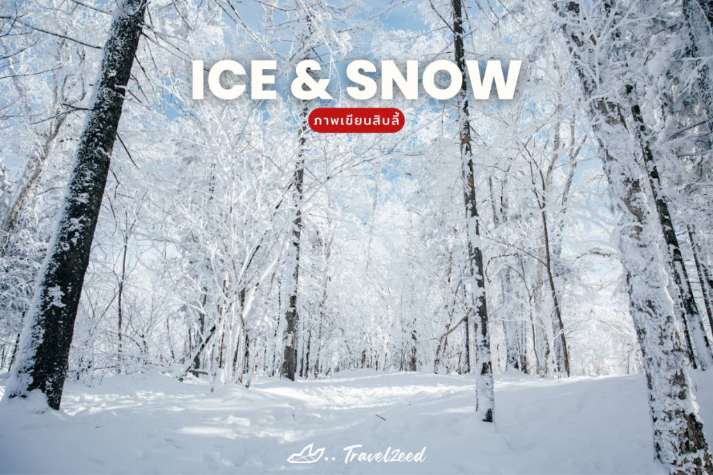 harbin forest with snow and ice