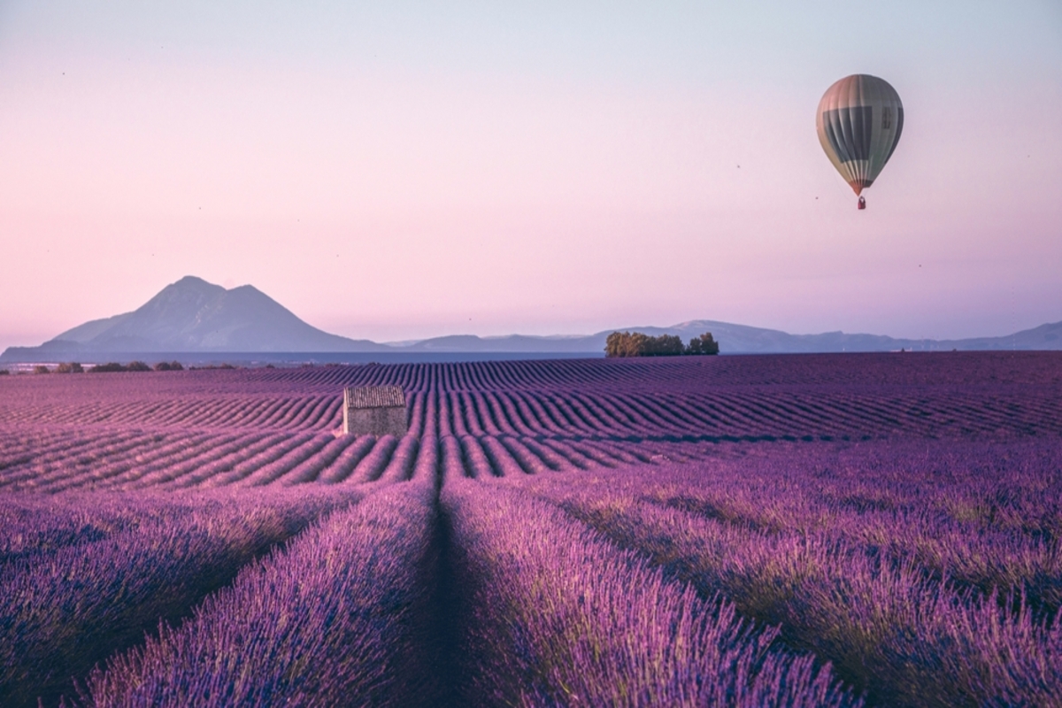 Provence