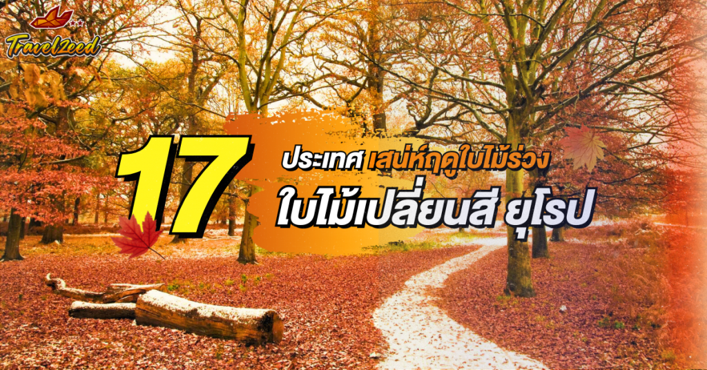 ใบไม้เปลี่ยนสี ยุโรป Autumn Europe