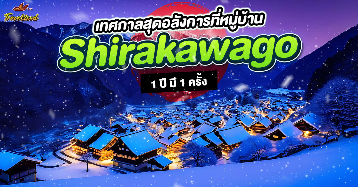 Shirakawago light up 2025