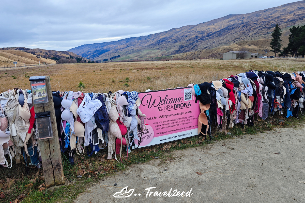 รั้วชุดชั้นใน (Cardrona Bra Fence)