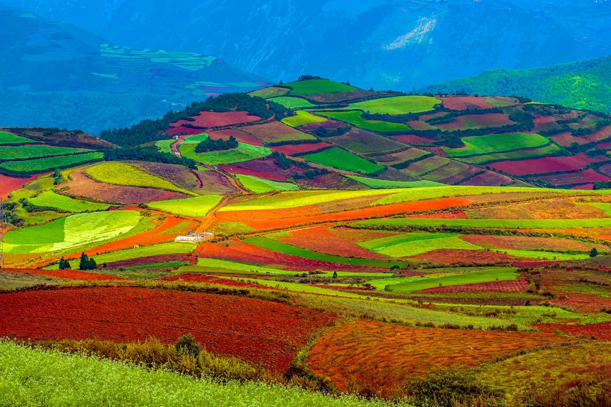 Dongchuan Red Land