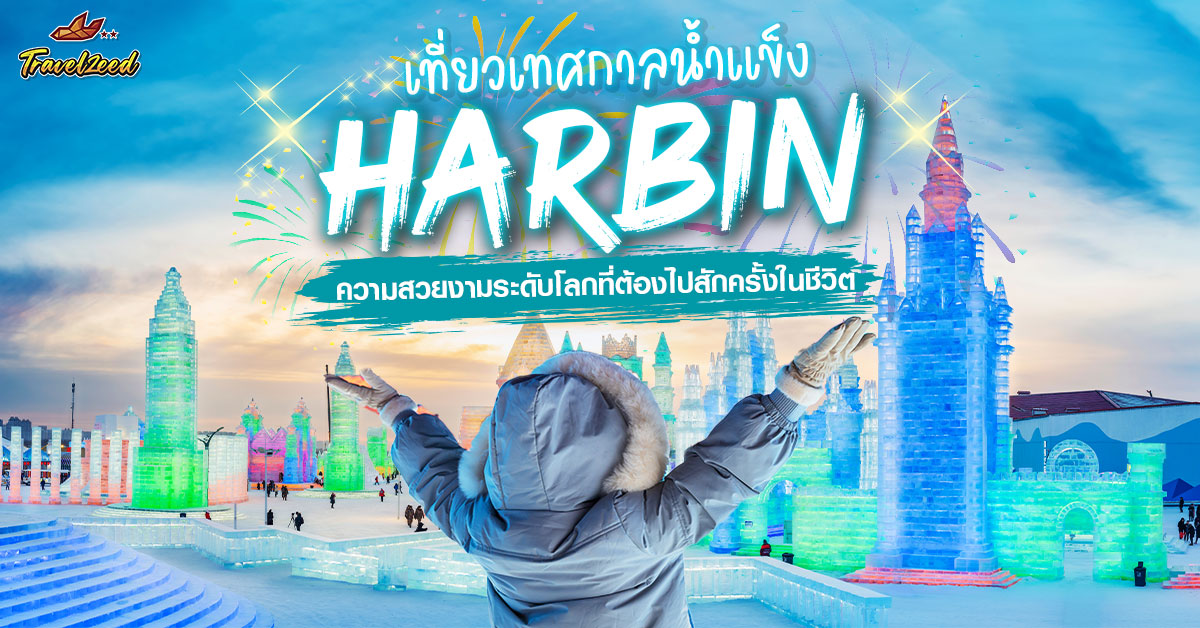 เทศกาลน้ำแข็งฮาร์บิน งานหิมะและน้ำแข็งใหญ่ที่สุดในเอเชีย