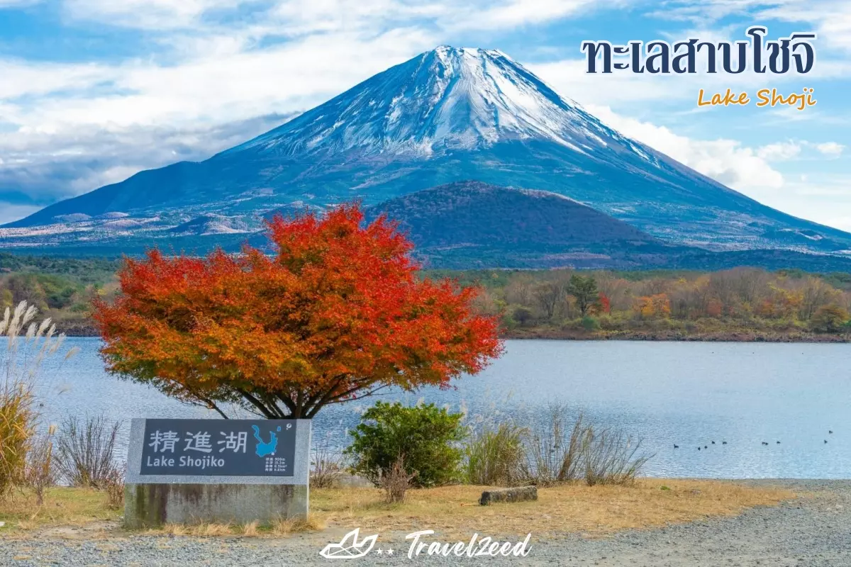 Lake Shoji