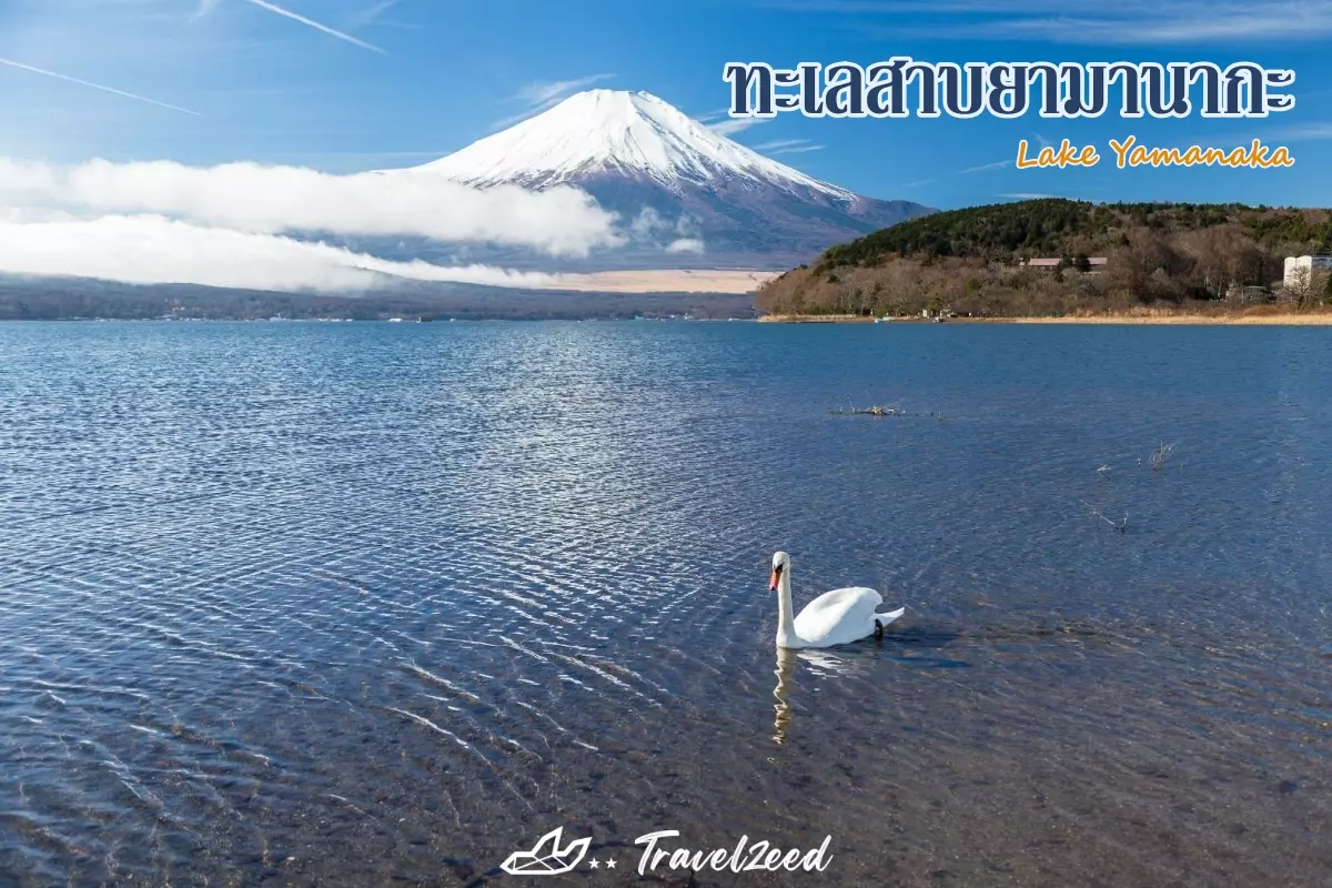 Lake Yamanaka