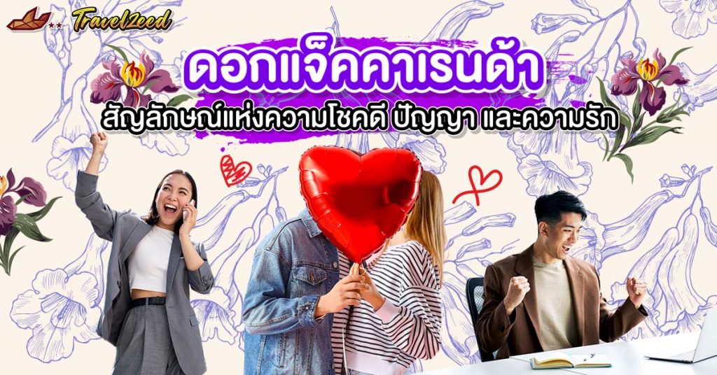 ดอกแจ็คคาเรนด้า