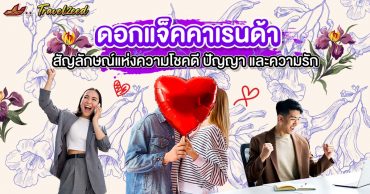 ดอกแจ็คคาเรนด้า (Jacaranda) สัญลักษณ์แห่งความโชคดี ปัญญา และความรัก