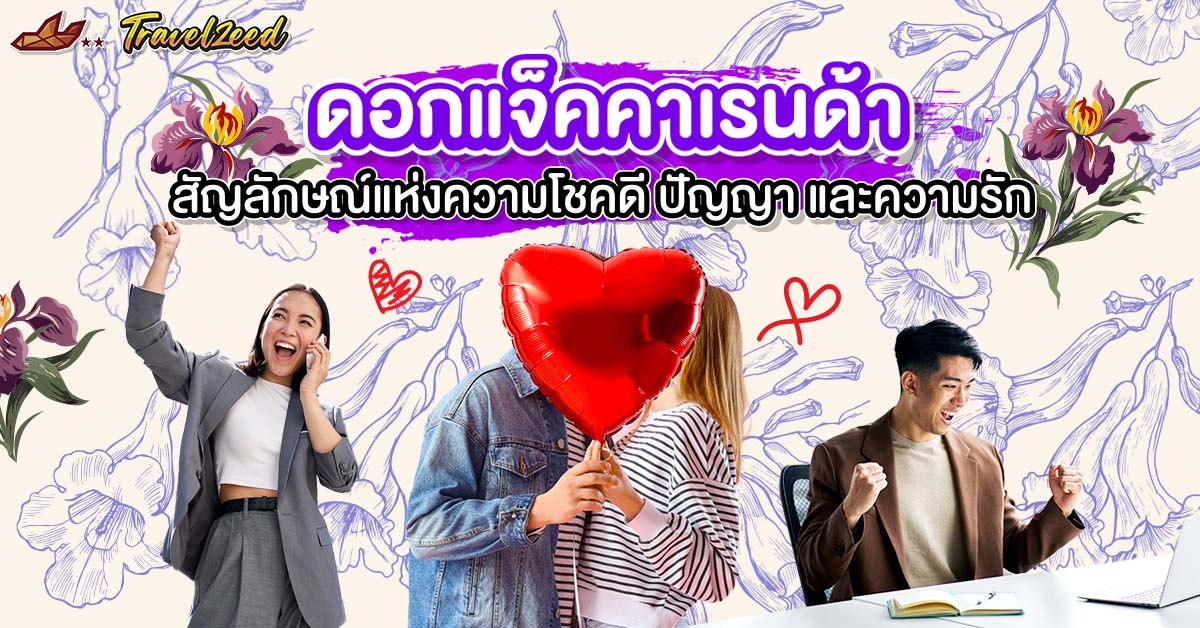 ดอกแจ็คคาเรนด้า