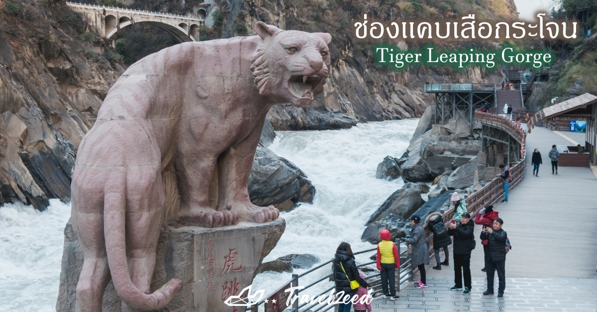 ช่องเเคบเสือกระโจน  