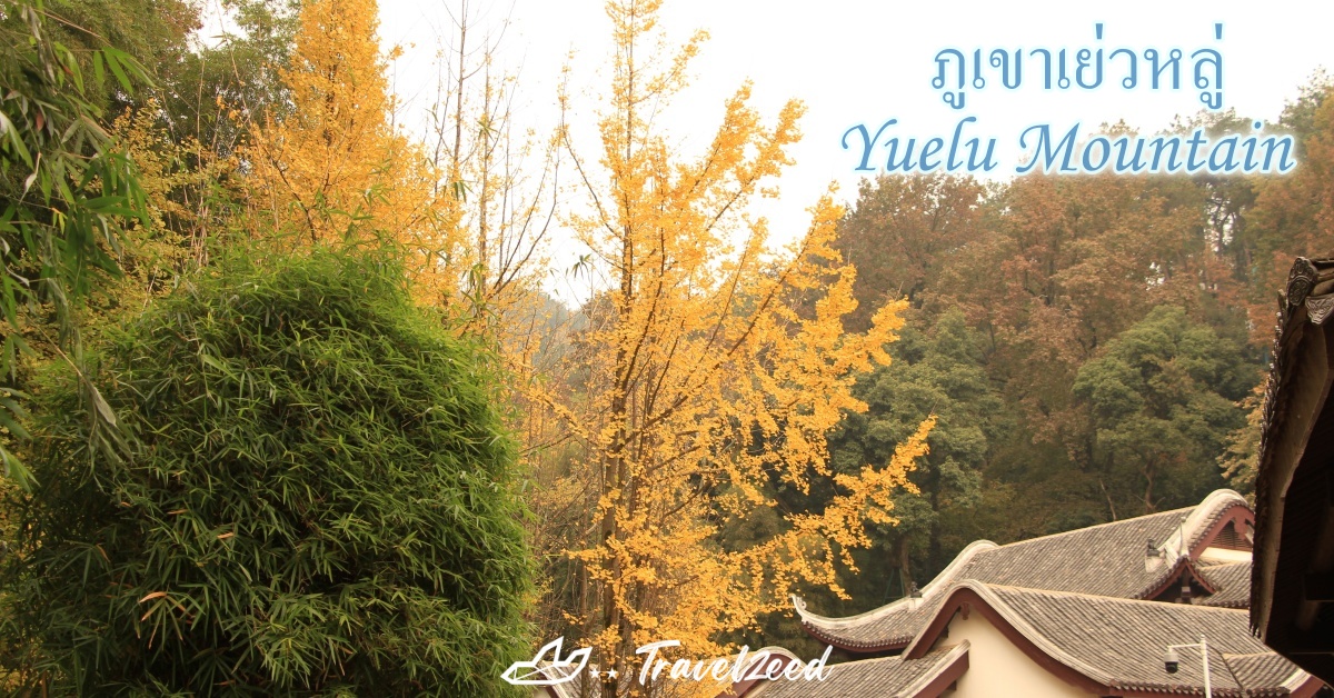ทัวร์ฉางซา