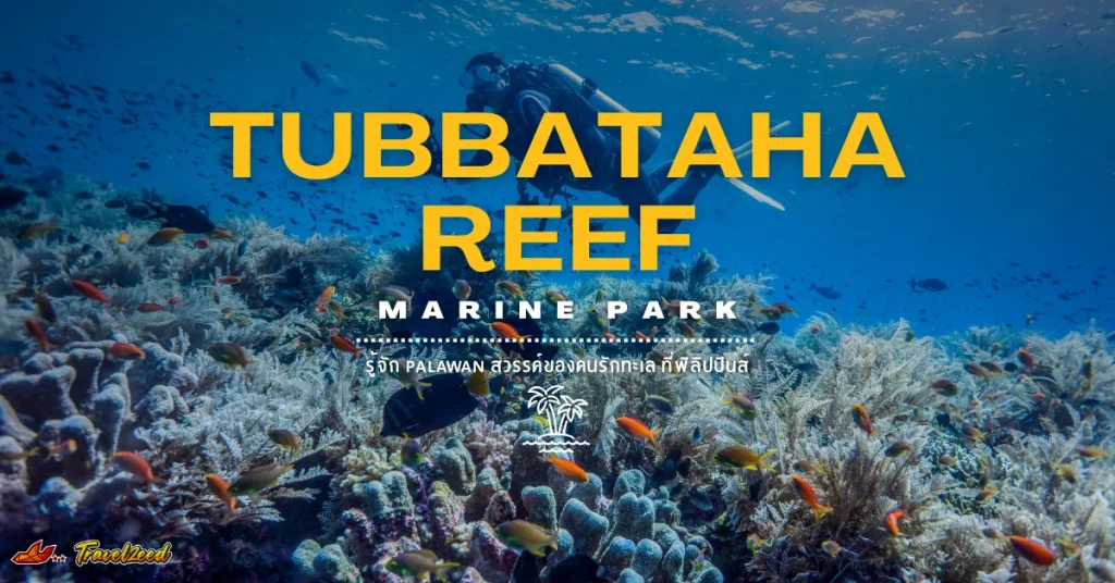 tubbataha reef