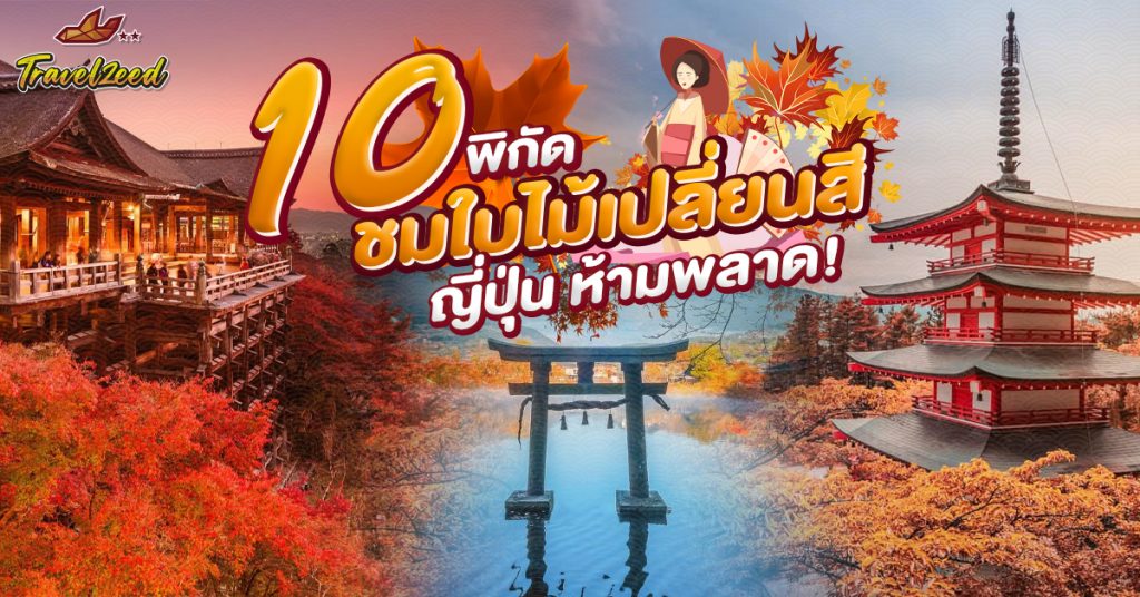 10 สถานที่ยอดนิยม ชมใบไม้เปลี่ยนสี ญี่ปุ่น